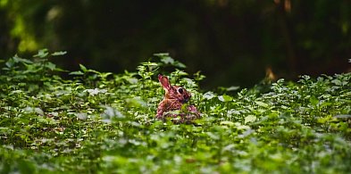 AleSztuka! Warsztaty twórcze dla dorosłych w Pruszczu