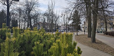 Dwie firmy zadbają o miejską zieleń i utrzymanie czystości