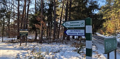 Przed Nadleśnictwem Zamrzenica ogrom pracy. Powstanie park, rozbudują ośrodek...