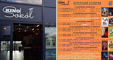 Repertuar na listopad. Co szykuje Kino Sokół w Tucholi?-24293
