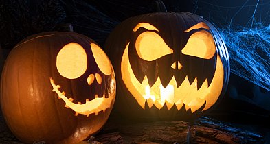 Kino Sokół. Maraton horrorów! 3 filmy. Przed maratonem "Koszmarek" dla młodszych-24290