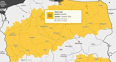 MGŁY. Ostrzeżenie pierwszego stopnia dla Tucholi i okolic-24744