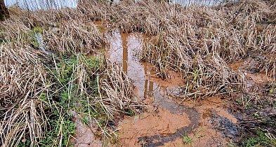 Minikowo, kontynuujemy temat. Kto może zlecić badania jakości wody w jeziorze?-25284