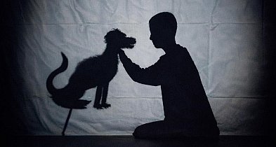 Gostycyn: Teatr cieni / ZAPOWIEDŹ