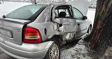 Auto z małymi dziećmi uderzyło w drzewo. Prowadził 38-letni mieszkaniec Tucholi