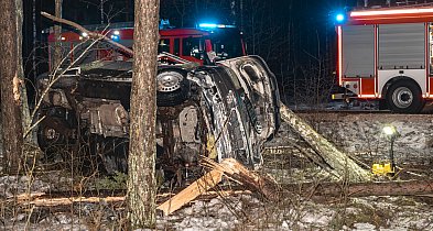 Kierowca z... dwoma zakazami. NOWE INFORMACJE o zdarzeniu koło Lubiewic / FOT