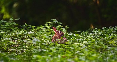 AleSztuka! Warsztaty twórcze dla dorosłych w Pruszczu