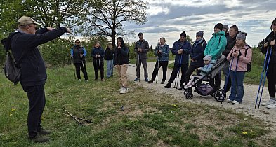 Ponad 30 osób na spacerze nordic walking po Krajnie