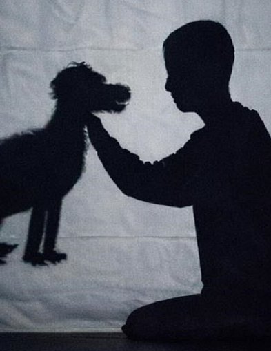 Gostycyn: Teatr cieni – już jutro! / ZAPOWIEDŹ