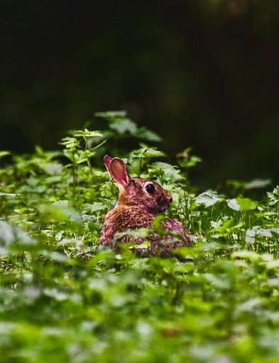 AleSztuka! Warsztaty twórcze dla dorosłych w Pruszczu