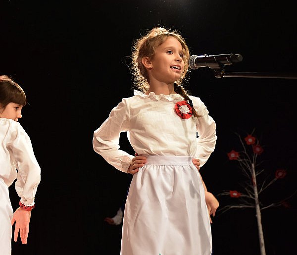 Śliwickie obchody niepodległościowe / ZAPOWIEDŹ-24425