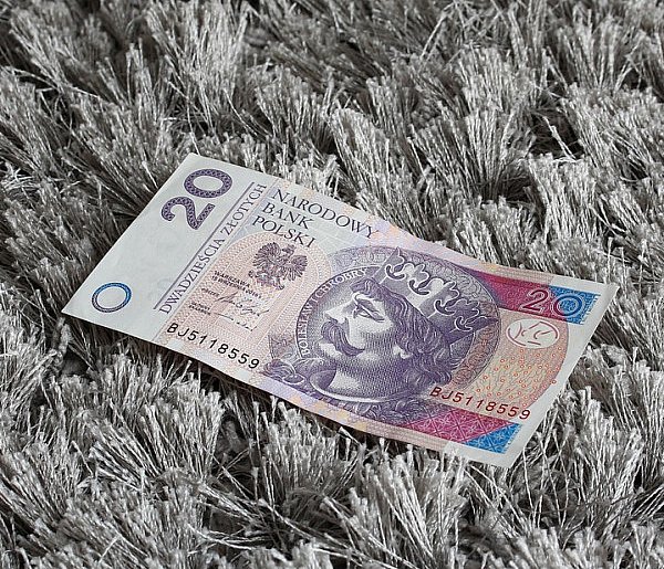 Nowy banknot o nominale 20 zł. Wchodzi do obiegu w tym tygodniu-24435