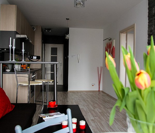 Rewolucja w wynajmie na doby. Nadchodzi koniec "wolnej amerykanki"-25027