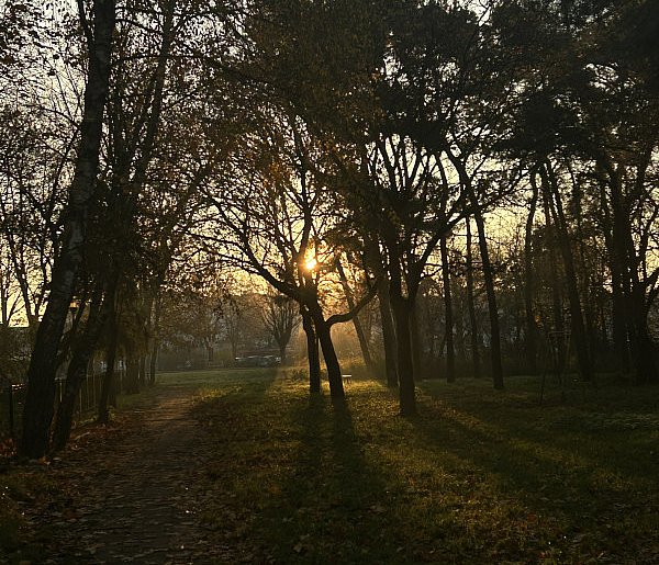 Nadchodzi najkrótszy dzień w 2025 roku. Sprawdź, kiedy przypadnie-25315