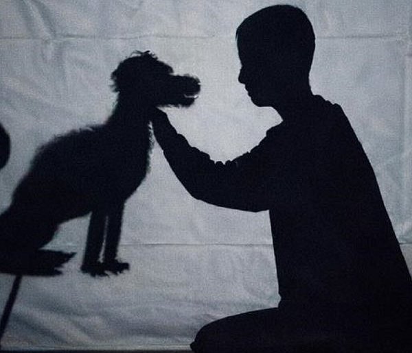 Gostycyn: Teatr cieni – już jutro! / ZAPOWIEDŹ