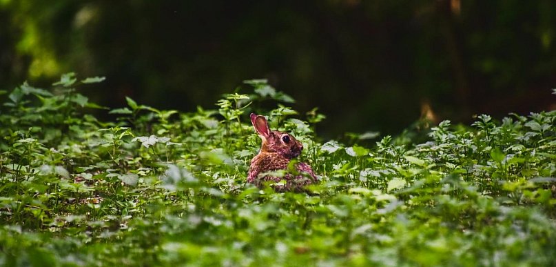 AleSztuka! Warsztaty twórcze dla dorosłych w Pruszczu