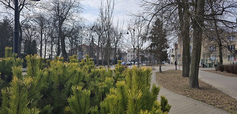 Dwie firmy zadbają o miejską zieleń i utrzymanie czystości