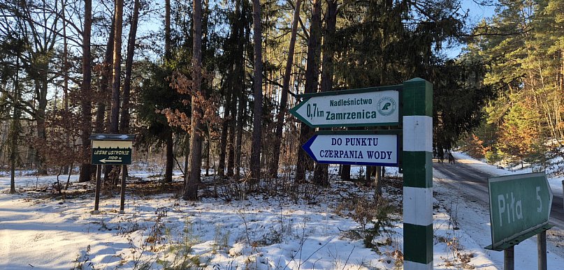 Przed Nadleśnictwem Zamrzenica ogrom pracy. Powstanie park, rozbudują ośrodek...