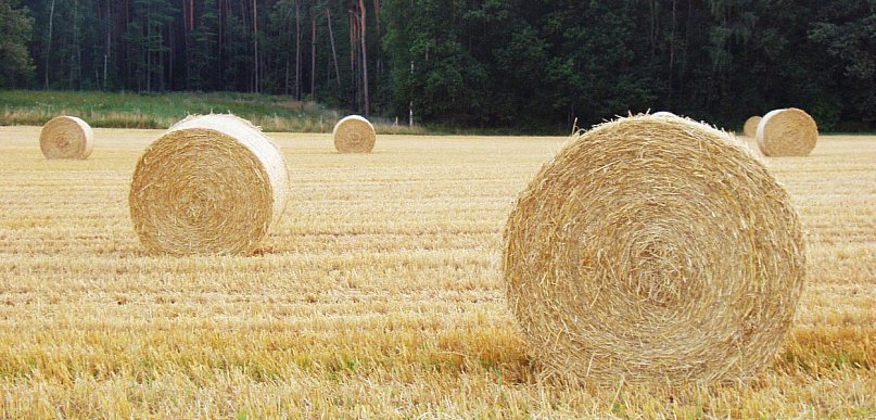 Fliz na słomę tani sposób na ochronę balotów i oszczędności w gospodarstwie