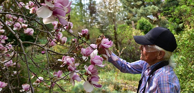 Arboretum tworzone sercem. Historia ogrodu Janiny Grzmiel z Bladowa
