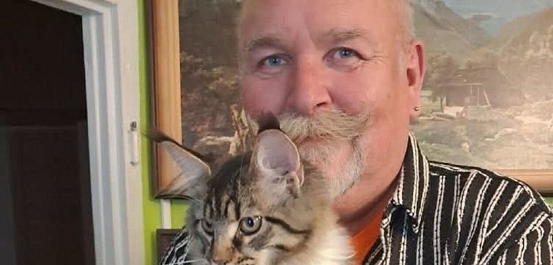 Catio, czyli woliera dla kociej arystokracji. Jak i gdzie ją stworzyć?