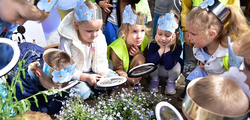 Tucholski Park Krajobrazowy: Happening na cześć pszczół i niezapominajek / FOTO
