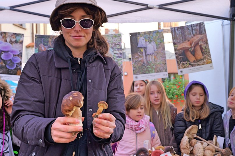 Wystawa grzybów w Tucholskim Parku Krajobrazowym 2025