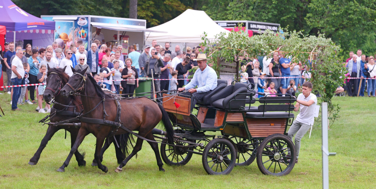 Piknik Koniarzy w Śliwicach. Zawody w powożeniu. Fot. Piotr Paterski