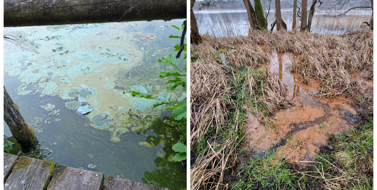 Skąd problem z wodą w Jeziorze Minikowskim? Próbujemy dowiedzieć się, czy osady są efektem naturalnych stanów w przyrodzie, czy może jednak na jakość wody w akwenie ma wpływ czynnik ludzki. Fot. nadesłane