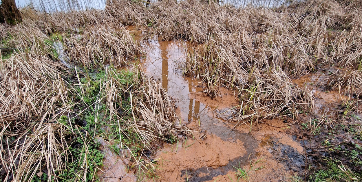 W rozmowie z naszą redakcją mieszkańcy podkreślali, że: „jezioro raz jest czyste, a raz brudne”, „z jeziora czuć smród szamba”, jezioro jest „zasilane przez 25 lat odpływem oczyszczonych wód z gminnej oczyszczalni ścieków oraz kanalizacją deszczową ze znacznej części obszaru gminy”. Fot. nadesłane