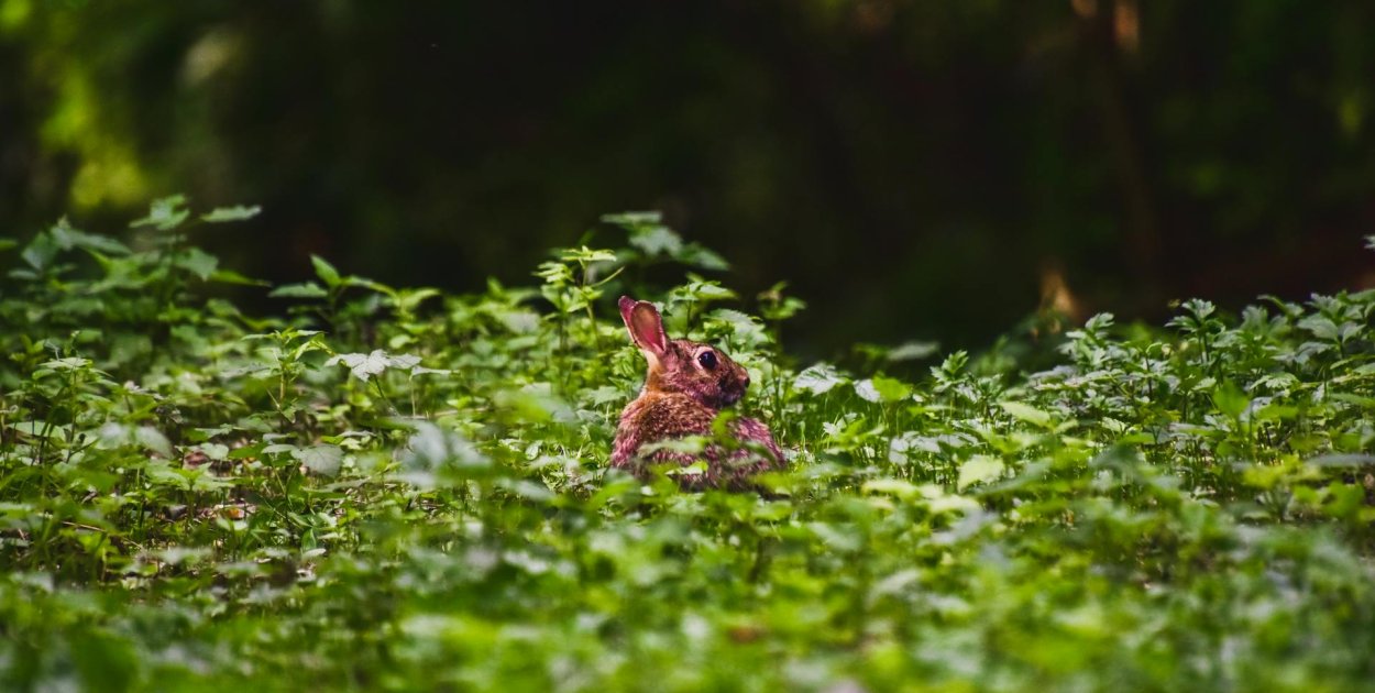 AleSztuka! Warsztaty twórcze dla dorosłych w Pruszczu