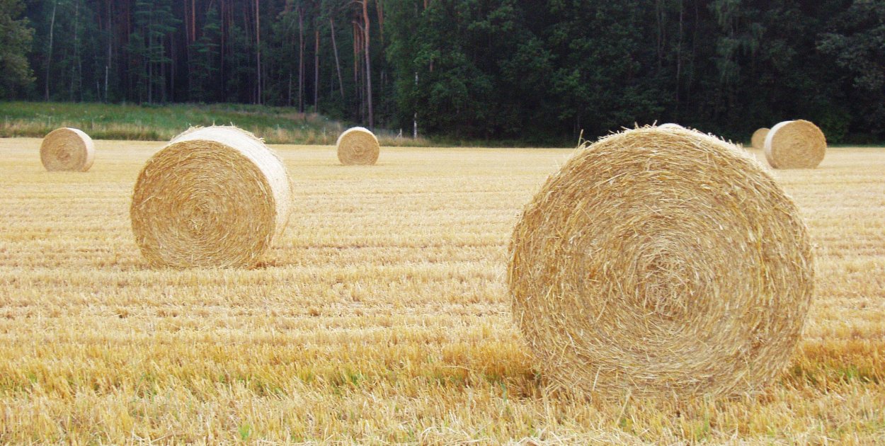 Fliz na słomę tani sposób na ochronę balotów i oszczędności w gospodarstwie